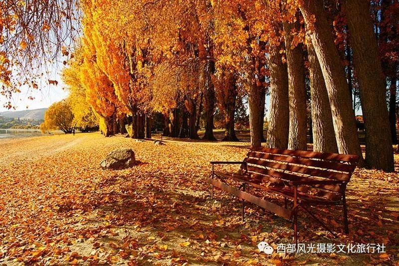 为何谁都能在广东队身上爆砍五六十分？原因是什么？一人难辞其咎
