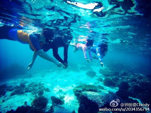 救援受困的老虎
