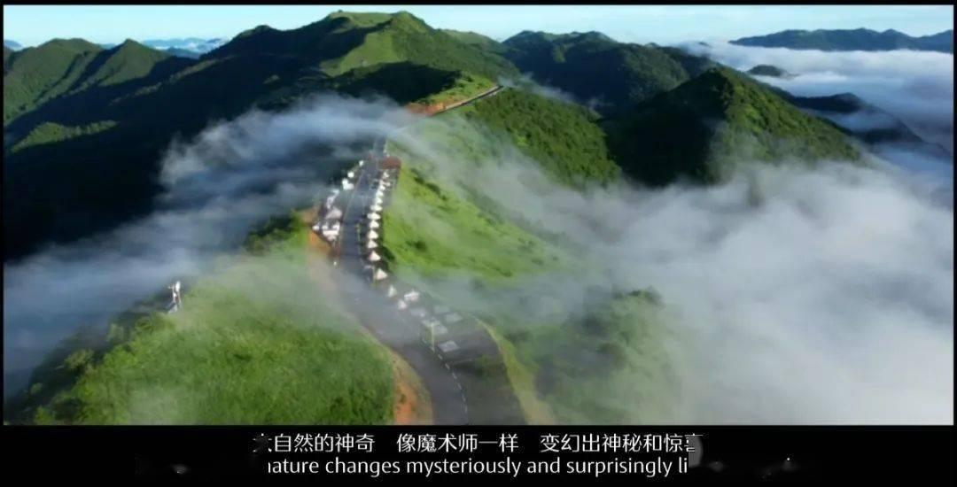 公主设计师大赛