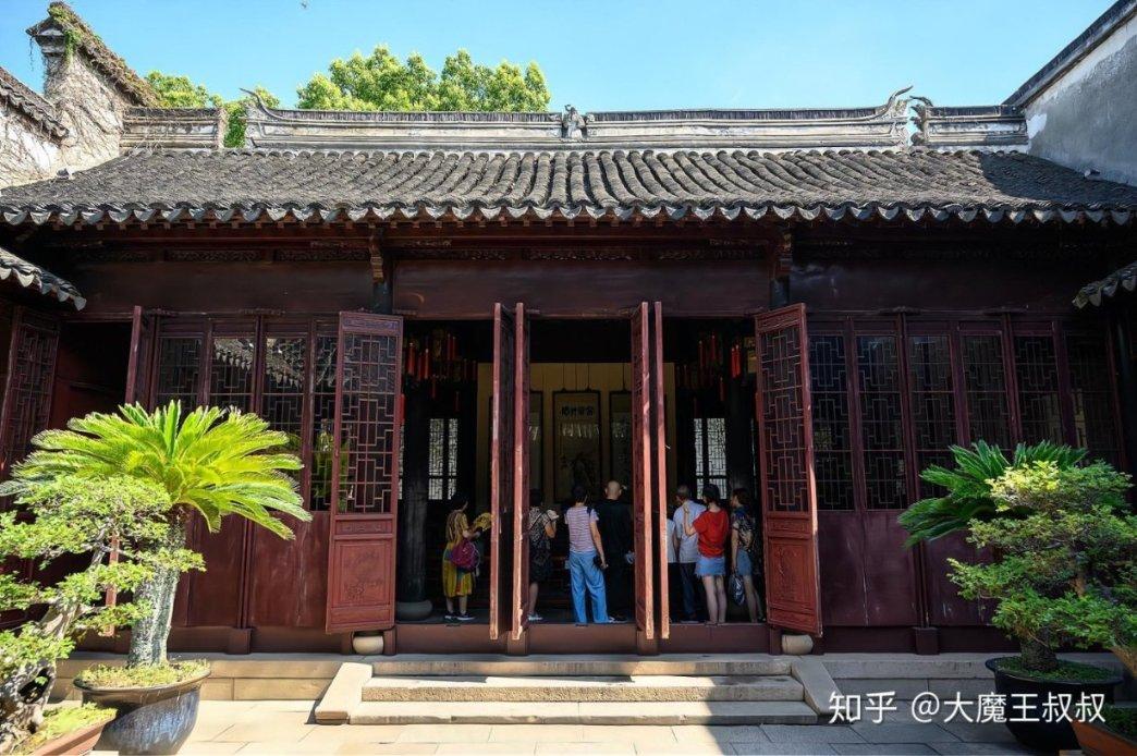拯救小萌虎
